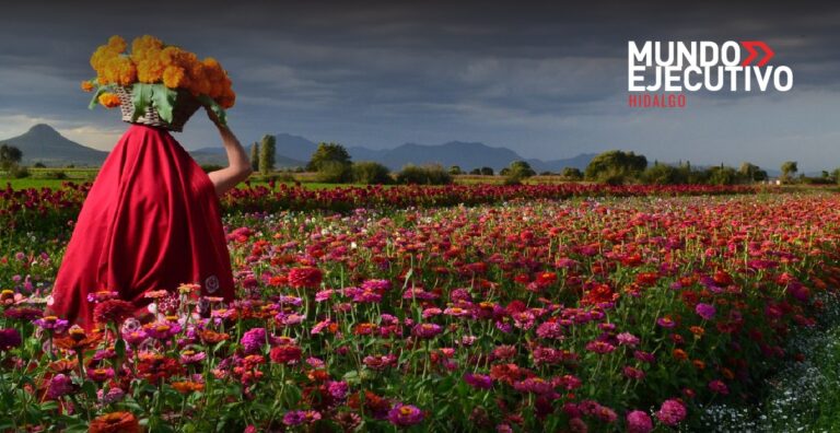 El Festival de Flores en Doxey, una tradición que despierta los sentidos