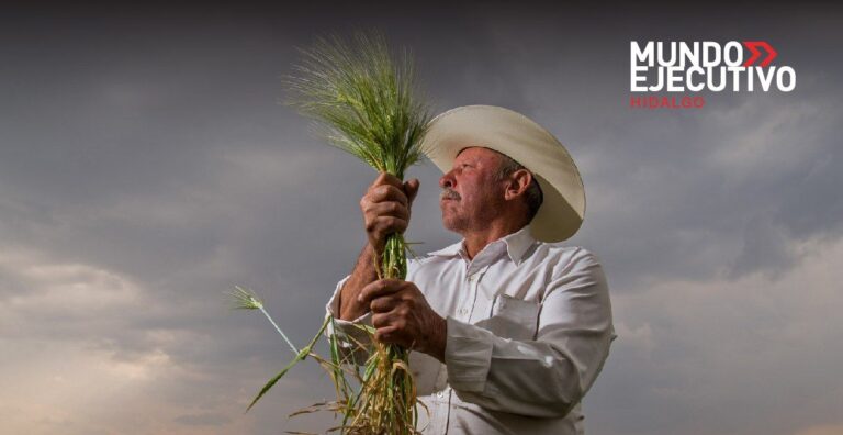 La agroindustria cervecera refuerza su compromiso con la reducción del uso de agua