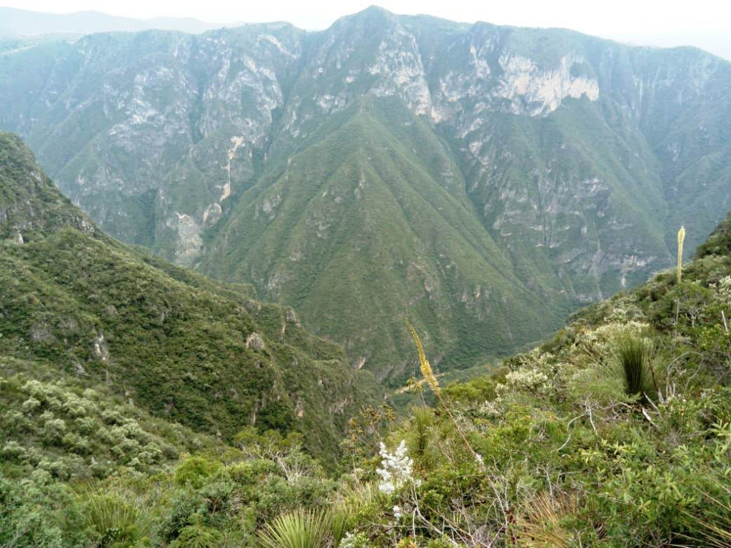 Parque Ecoturístico El Puma: Aventura natural en Hidalgo